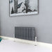 300x605 Horizontal, Traditional, Anthracite radiators, triple column, AICA rads